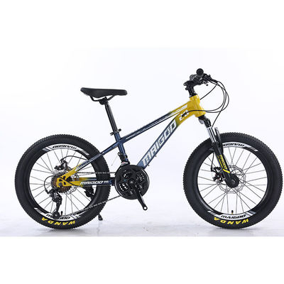 20" 21s Kids Bike Bicicleta per bambini con logo personalizzato e cerchiera in alluminio