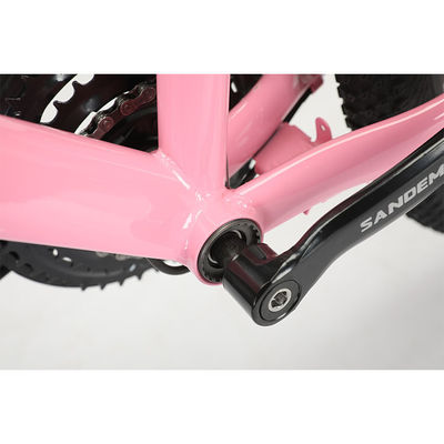 Cornice in acciaio 20 pollici WANDA 20 * 2.125 Pneumatici Bambini Bicicletta per durevole 21 velocità MTB
