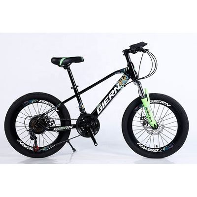 20" MTB in acciaio Cina 21S Biciclette Biciclette per bambini Peso lordo 12 Offerta limitata in tempo