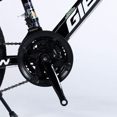 20" MTB in acciaio Cina 21S Biciclette Biciclette per bambini Peso lordo 12 Offerta limitata in tempo