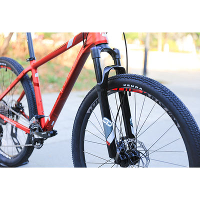 Dimensioni personalizzate di biciclette da ginnastica 29 pollici mountain bike con 22 marce di velocità e saldature lisce