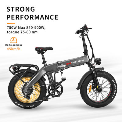 Bilancio dell'esercizio EU magazzino Bicicleta elettrica pieghevole ad alta potenza con batteria portatile