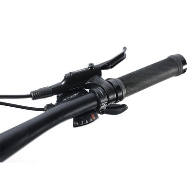 27 velocità velocità di progettazione adulto 700 * 35C Flat Bar Road Bike con forchetta in lega personalizzabile