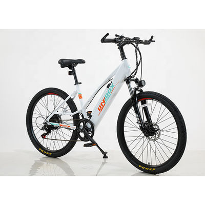 Customized 6 velocità batteria al litio Electric Mountain Bike per Off-Road Avventure