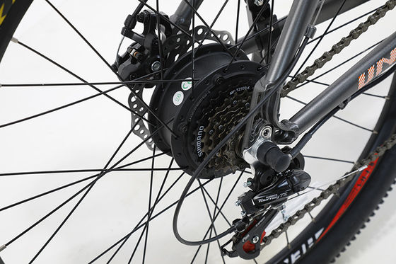 Customized 6 velocità batteria al litio Electric Mountain Bike per Off-Road Avventure