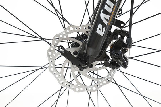 Customized 6 velocità batteria al litio Electric Mountain Bike per Off-Road Avventure