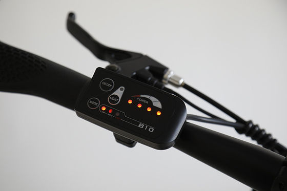 Customized 6 velocità batteria al litio Electric Mountain Bike per Off-Road Avventure