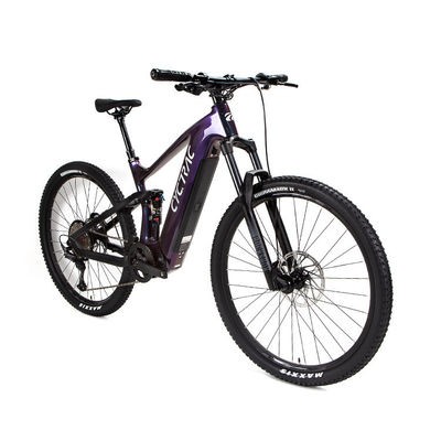 EM10 Cavi interni in fibra di carbonio Midmotor Shox posteriore Electric Assistant Bike
