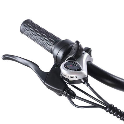 Anteriore 24 Posteriore 20 pneumatici da neve triciclo elettrico con SHIMANO posteriore 7-velocità e 48V15A batteria