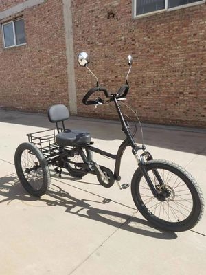 Cornice in acciaio ad alto tenore di carbonio 7 velocità Cargo Trike con ruote di alluminio spessa 24 pollici