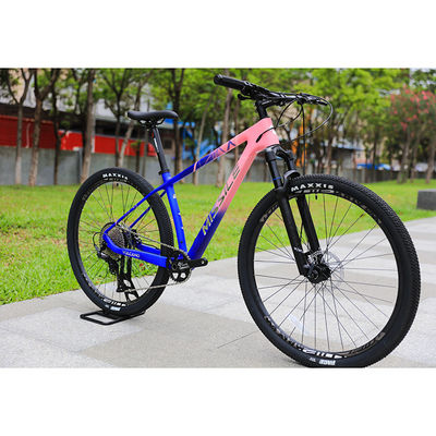 Porta la tua guida al livello successivo con la nostra mountain bike a due sospensioni da 29 pollici.