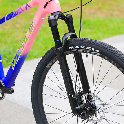 Porta la tua guida al livello successivo con la nostra mountain bike a due sospensioni da 29 pollici.