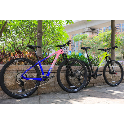 29 pollici bicicletta da montagna a due sospensioni con pneumatici Maxxis e PROWHEEL PMX 36T Chainring