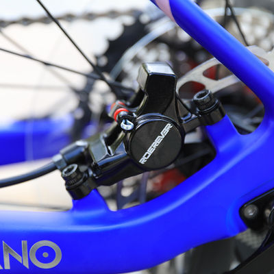 29 pollici bicicletta da montagna a due sospensioni con pneumatici Maxxis e PROWHEEL PMX 36T Chainring
