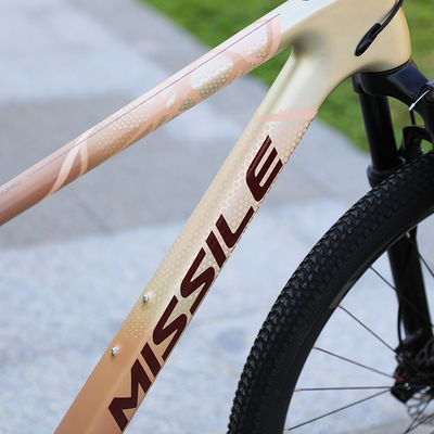 Bicicletta da montagna in lega di freno a disco idraulico con ruote da 29 pollici e pastiglia di freno da 160 mm