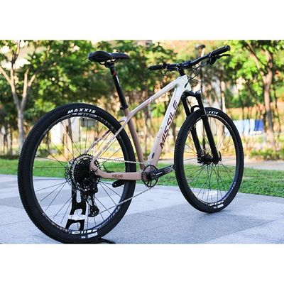 Forchetta in lega di alluminio 29 pollici mountain bike con freno a disco idraulico e sospensione anteriore