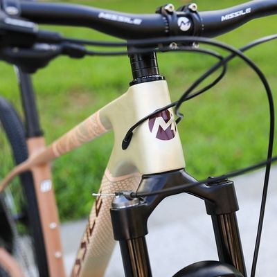 Forchetta in lega di alluminio 29 pollici mountain bike con freno a disco idraulico e sospensione anteriore