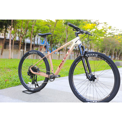 29 pollici MTB Mountainbike Fibra di carbonio Hard Frame Mountain Bike Bici velocità
