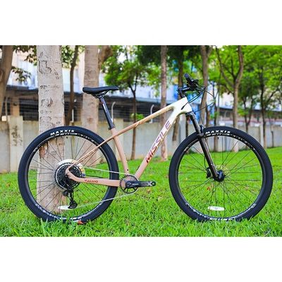 Bici da montagna da 29 pollici maschile con catena YBN S12S e telaio in fibra di carbonio