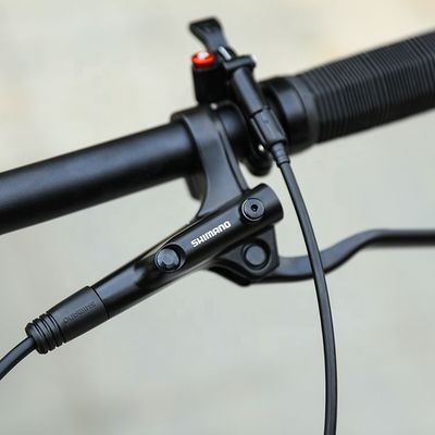 29 pollici di supporto OEM Mountain Bike con YBN S12S Catena 12 velocità MTB 2022 Hard Frame