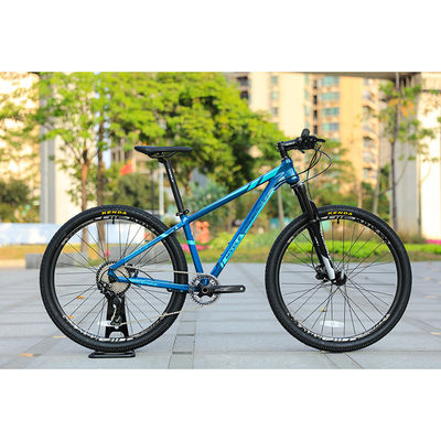 29er Speed Mountain Bike con telaio in fibra di carbonio personalizzato e ruota posteriore TEN-M601