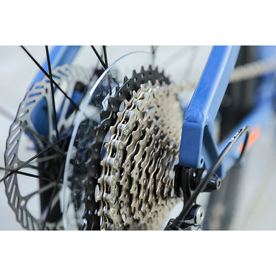 29er Speed Mountain Bike con telaio in fibra di carbonio personalizzato e ruota posteriore TEN-M601