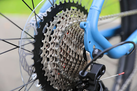 150 kg capacità di carico 29 pollici di fibra di carbonio mountain bike con 30 marce di velocità e design