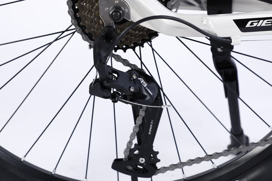 Large Bike Mountain Race Mountain Bike Speed con Al Cassette Hub per il freno Dsic
