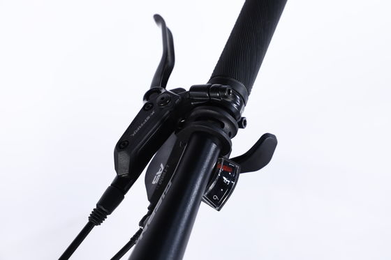 Bicicletta Ininterrotta Mountain Bike con Sus Fork Forchetta e Cassetta Bloccabile per Hub del Freno a Dischi