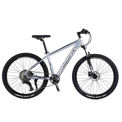 Ruota anteriore e posteriore freno a disco mountain bike 26/27.5/29 pollici con ruota a catena cava 13s