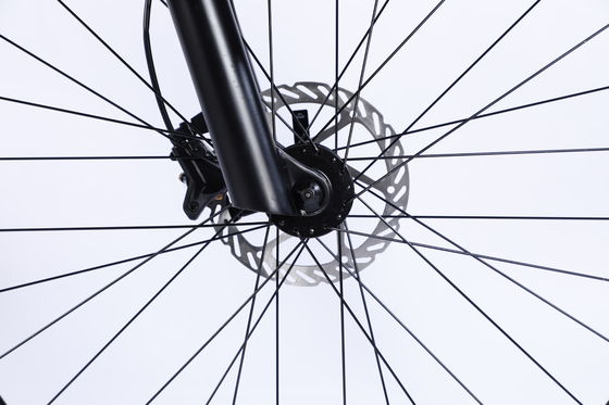 Ruota anteriore e posteriore freno a disco mountain bike 26/27.5/29 pollici con ruota a catena cava 13s