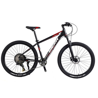 Cornice in fibra di carbonio personalizzata Bicicleta da montagna con cambio Ltwoo A12 12s 26/27.5/29 pollici
