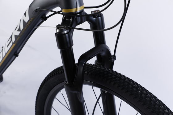 Cornice in fibra di carbonio personalizzata Bicicleta da montagna con cambio Ltwoo A12 12s 26/27.5/29 pollici
