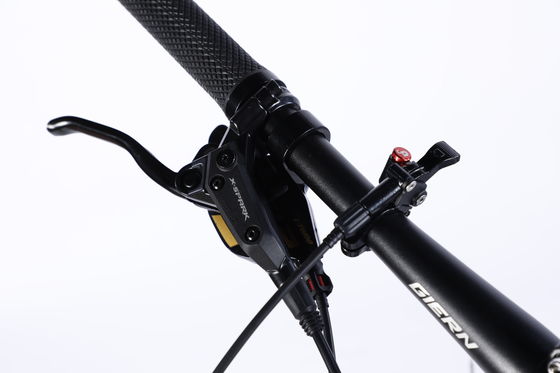 Cornice in fibra di carbonio personalizzata Bicicleta da montagna con cambio Ltwoo A12 12s 26/27.5/29 pollici