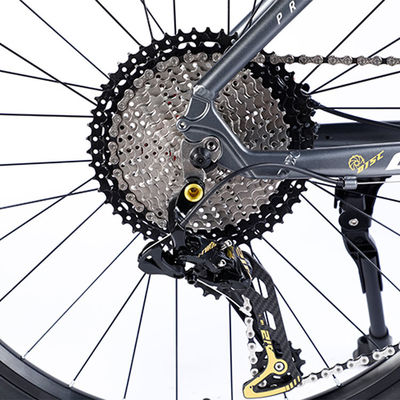Cornice in fibra di carbonio personalizzata Bicicleta da montagna con cambio Ltwoo A12 12s 26/27.5/29 pollici