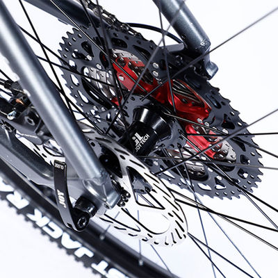 Cornice in fibra di carbonio personalizzata Bicicleta da montagna con cambio Ltwoo A12 12s 26/27.5/29 pollici