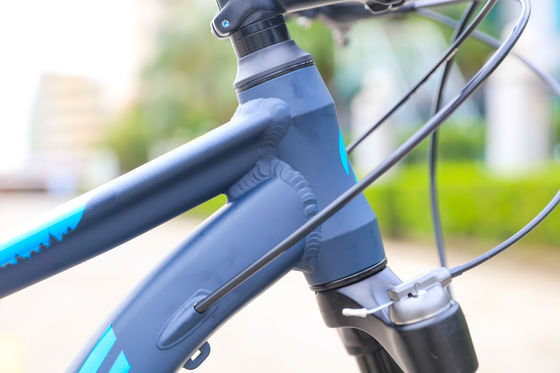 Bici da montagna regolabile per adulti 13.9kg Peso della bici Freno a disco anteriore e posteriore