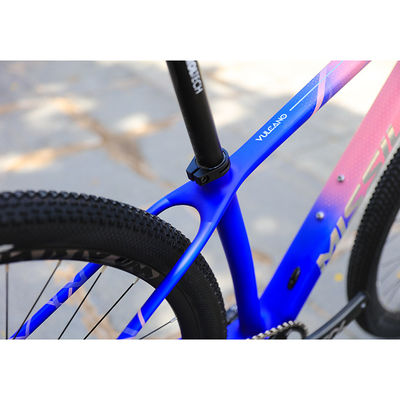 Bici da montagna in fibra di carbonio per adulti con forcella in alluminio da 29 pollici
