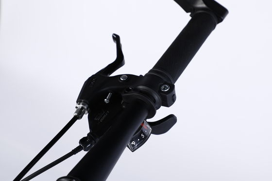 Pedala ordinaria da 26 pollici mountain bike dotata di Ltwoo A11 11s Gear e acciaio al carbonio