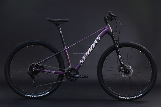 Cornice rigida 29 pollici Mountain Bike Cornice in alluminio Alloy Mountain Bike 3 * 10s RTS