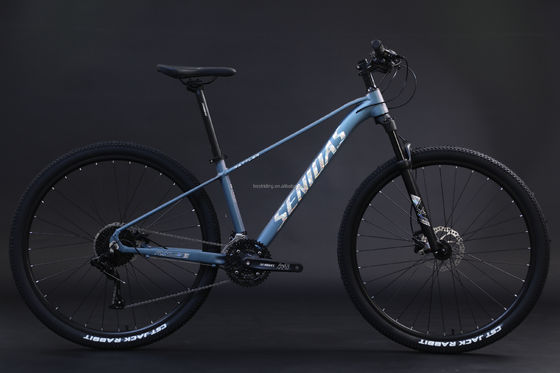 Cornice rigida 29 pollici Mountain Bike Cornice in alluminio Alloy Mountain Bike 3 * 10s RTS