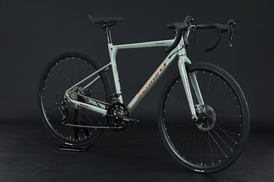 18 Speed Copy Carbon Welding Frame Road Bike Disco Brake Performance e comfort