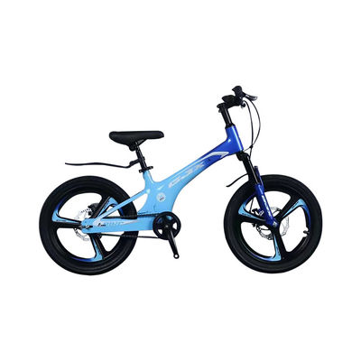 Bicicletta da montagna con 21 marce e telaio in lega di magnesio
