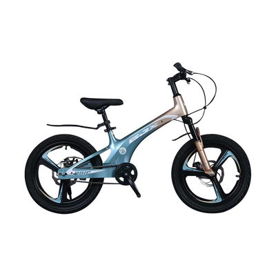 Bicicletta da montagna con 21 marce e telaio in lega di magnesio