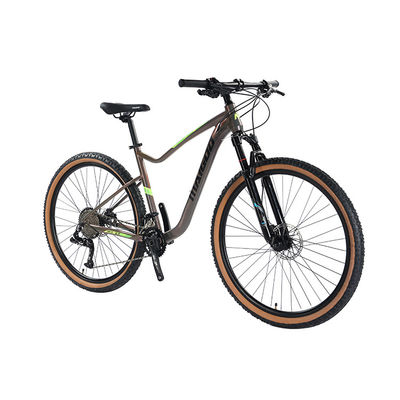 29" di sospensione di alluminio Leggio di telaio Bicicletta 2*11s Pneumatici per pareti di pelle MTB