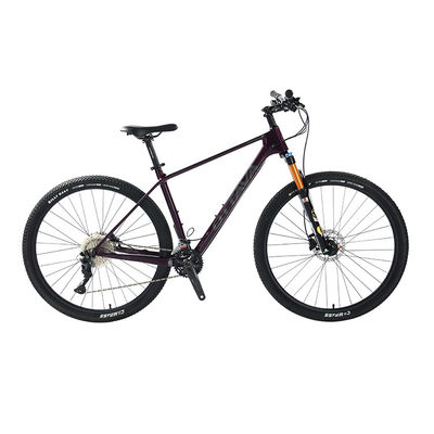 29" bicicletta da montagna in fibra di carbonio con componenti Shimano 22s