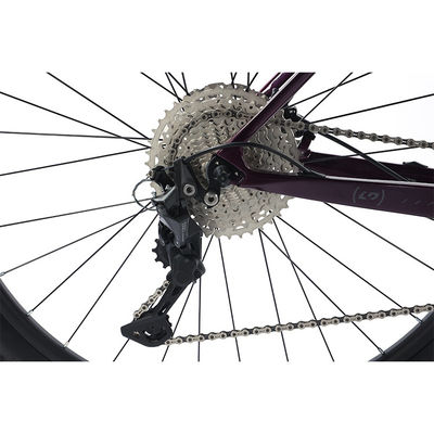 29" bicicletta da montagna in fibra di carbonio con componenti Shimano 22s