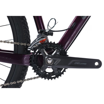 29" bicicletta da montagna in fibra di carbonio con componenti Shimano 22s