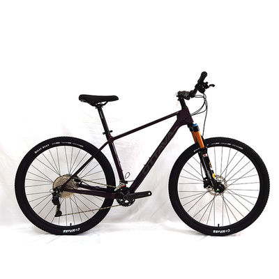 Bicicletta stradale leggera in fibra di carbonio con ingranaggi a velocità singola
