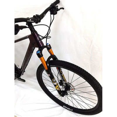 Bicicletta stradale leggera in fibra di carbonio con ingranaggi a velocità singola